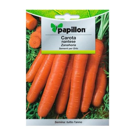 SEMI ORTO PAPILLON "CAROTA MANTESE" - CF. BUSTA 7 GR. (1/2)