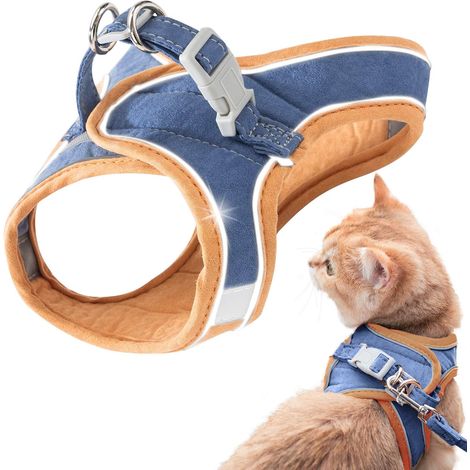 Veste chat réfléchissante pour la marche en extérieur (M, bleu)