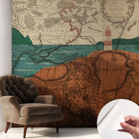 Papier peint adhésif autocollant pour salon chambre à coucher tendance et originale Carte historique 250x250 cm (1/5)