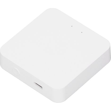 Passerelle Zigbee Hub 2,4 GHz WiFi Bluetooth Application de contrôle à distance USB-C Hub domotique (1/5)