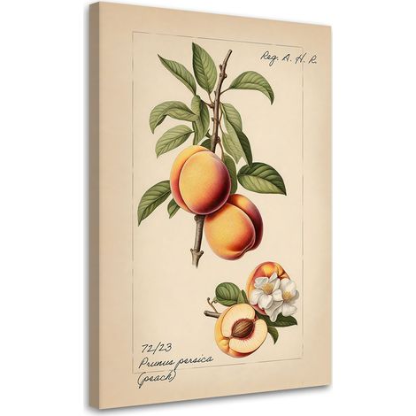 Tableau sur toile Fruit Vintage Pêche 40x60 (1/5)