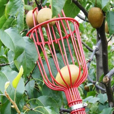 Cueillette à fruits, facile à assembler, outil de ramassage de fruits à (1/5)