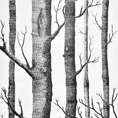 Papier peint imitation bouleau 45 x 200 cm, motif tronc d'arbre noir, autocollant, imperméable et amovible, idéal pour la décoration de chambre et de salon. (1/5)