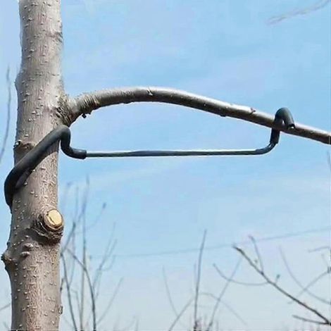 Outil de cintrage des branches d'arbres fruitiers, cadre en fer pour la culture de nouvelles branches, ensemble T18 de 40 pièces (1/5)