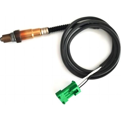 Lambda sensors compatible with Citroën vehicles: 0258006026, 0258010081 (1/5)