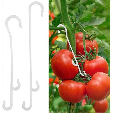 150 crochets de support pour tomates, crochets de tuteurage, clips de support en J pour tomates et légumes (1/5)