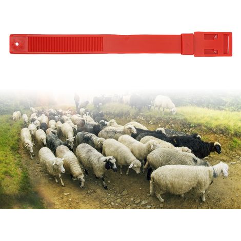 Collares de identificación para ovejas – paquete de 10 bandas de marcaje de PU rojas, 36 cm, para ganado. (1/5)