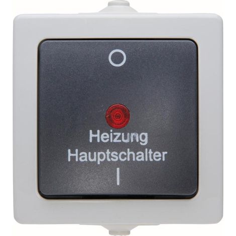 Kopp Feuchtraum Heizungshauptschalter Nautic, grau, 565356002 Kopp (1/5)
