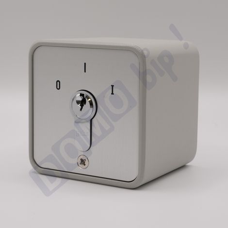 GEBA S APZ 1-1R/2 - Contacteur à clé MARCHE/ARRÊT en applique pour automatisme portail/garage - Retour automatique par ressort - 3 clés incluses - Réf : 009.1202.10 (1/2)