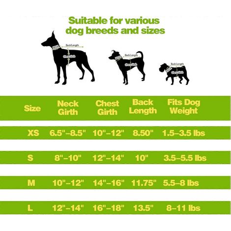 Lot de 6 T-shirts rayés pour chien, sans manches, en coton, respirants, pour chiots. Sweat-shirts colorés pour chiots, taille XS. (1/4)