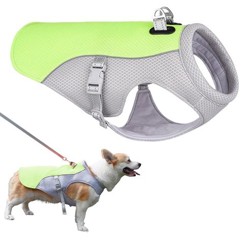 Kühlweste für Hunde (Grün, XXL) - Kühljacke für Hunde - Kühlweste für Hunde - Hundekühlung - Kühlweste - Mit verstellbarem D-Ring - Atmungsaktiv (1/5)