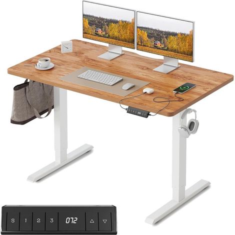 FEZIBO Elektrisch höhenverstellbarer Schreibtisch 100 x 60 cm Stehpult (1/5)