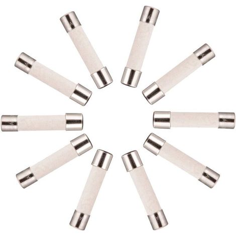 10x Keramik-Zeitverzögerungssicherung (T) 10A / 250VAC 5x20mm (1/4)