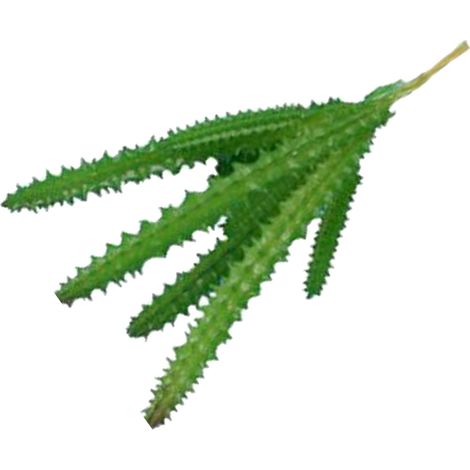 Plante succulente artificielle en PVC souple, mini fausse plante très réaliste pour la décoration de la maison, du bureau ou du bureau (Type 1)