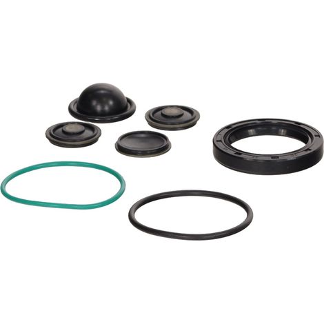 Kit de reparación de bomba de inyección rápida FT04221 (1/4)