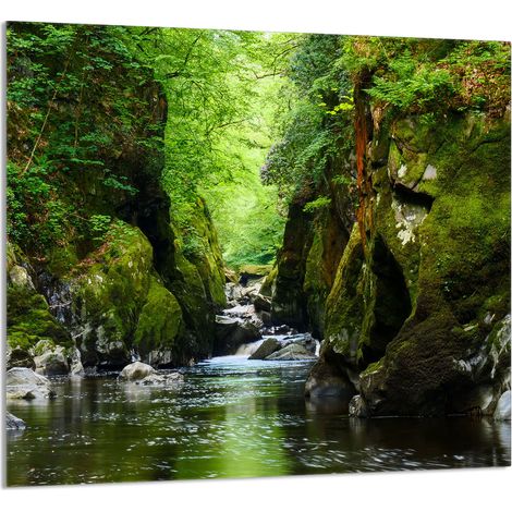PANNELLO IN VETRO PER CUCINA 65x60 Forest (1/5)
