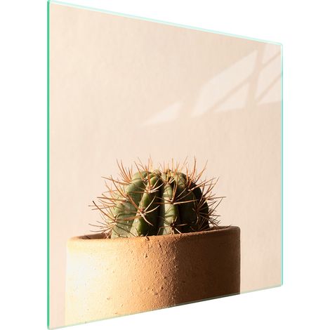 PLACA PROTECTORA DE VIDRIO PARA ESTUFA 50x52 CACTUS (1/5)