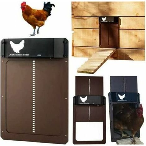 Porta automatica impermeabile per pollaio con sensore di luce, installazione rapida, in plastica PP rinforzata, ideale per piccoli animali. (1/4)