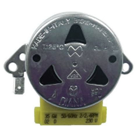 Moteur Tourne Broche 795210359 Pour FOUR (1/2)