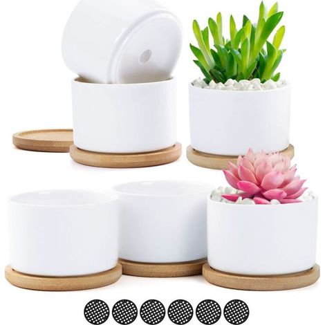 6 Pcs White Ceramic Succulent Plant Pots, Small Containers with Bamboo Tray for Flowering Plants, Herbs, Wedding, Christmas, Birthday Gift (1/5)