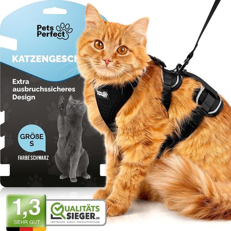 1 - Harnais Pour Chat - Laisse Pour Chat - Anti-évasion Avec Fermeture À Clic &43 Sangles Rembourrées Réglables Pour Promenade Sécurisée Noir À Rayure S (1/5)