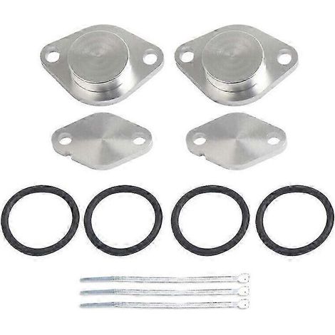 EGR Valve Plate tool For Land Rover Discovery 3 Range Rover 2.7 TDV6 3W (1/5)