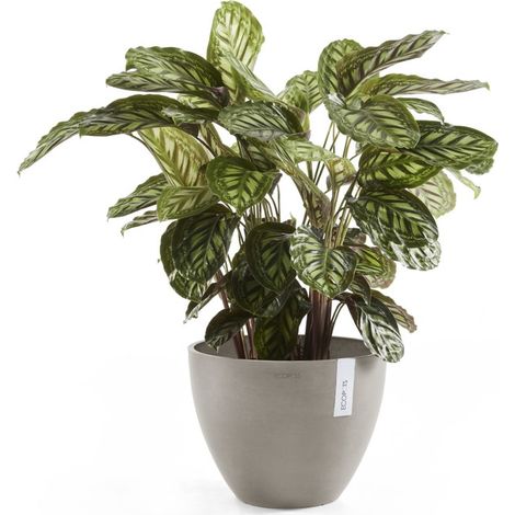 Vaso Rotondo Antwerp 30 Tortora - Ø 30 x H. 25,5 cm - 11,4 L ECOPOTS (1/5)