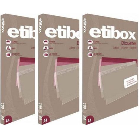Lot de 3 boîtes 100 étiquettes n°1 Etibox Apli 119760 (1/2)