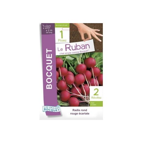 Radis à forcer rond écarlate en ruban à semer - 15g