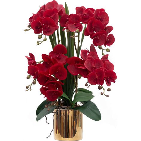 Orchidée Artificielle au Toucher réaliste dans Un Vase en céramique de 53 cm - Orchidée phalaenopsis Rouge - Arrangement Floral - Décoration d'intérieur (1/5)