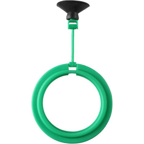 Accessoires pour aquarium planté : cercle d'alimentation pour poissons (1/5)