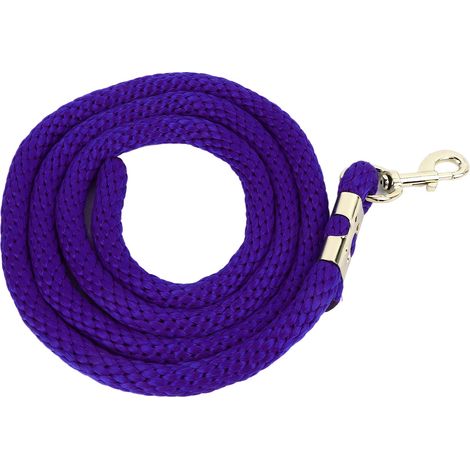 Longe pour cheval avec mousqueton, corde d'entraînement haute résistance et résistante, 2 m (6,6 pi), violette, idéale pour l'entraînement, la compétition et le travail quotidien. (1/5)