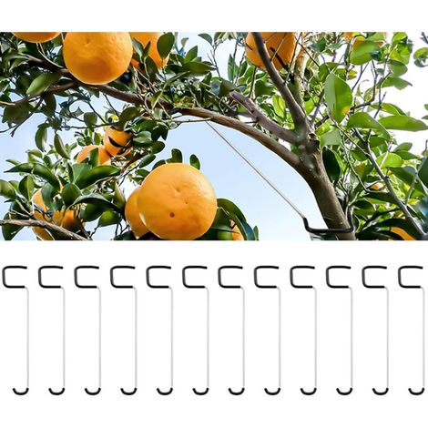 Lot de 12 écarteurs de branches 18 cm avec gaine plastique – Outil de palissage pour arbres fruitiers (1/5)