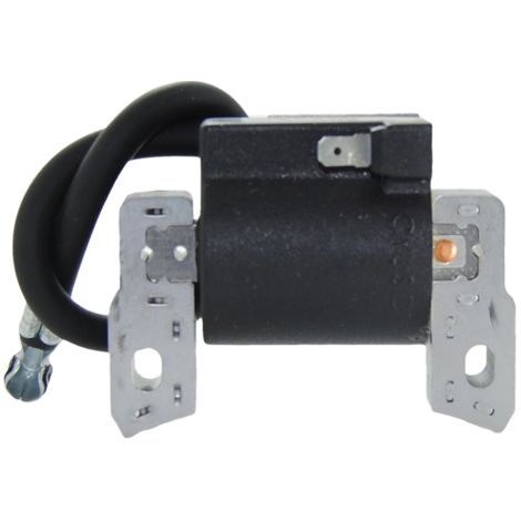 Brigg & Stratton Bobina elettronica 09, 11, 12 (1/3)