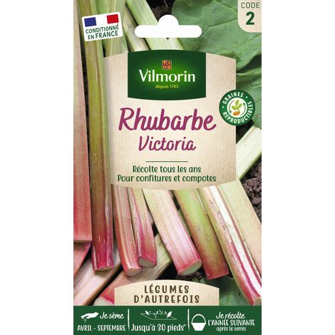 Rhubarbe Victoria – Graines de potager rustiques – Semis en août-septembre – Récolte de juin à septembre – Rendement jusqu'à 10 pieds – Vilmorin (1/3)