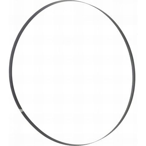 Lame de scie ruban bois PAE 3454 x 20 x 0,6 mm DC8 BSB470B20 pour HBS470PROFI - Holzmann (1/4)