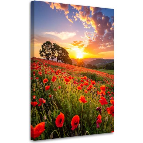 Tableau déco Champ de coquelicots fleurs coucher de soleil 40x60 (1/4)