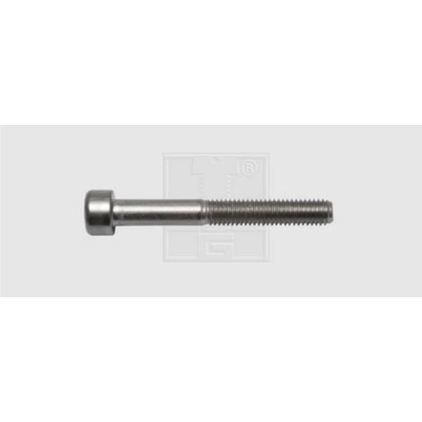 Swg 4009146506212 Tornillos métricos acero inoxidable A2