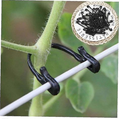 Lot de 100 crochets de fixation pour attacher les plantes grimpantes de jardin, pour serres et cultures maraîchères. (1/4)