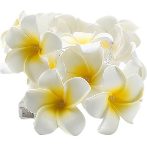 Guirlande Lumineuse LED - Fleur de Frangipanier Vintage - 10 LED - Alimentation sur Piles AA - Pour Décoration Intérieure et Extérieure - 1,5 m (1/5)