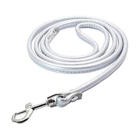 Hundeleine, robust und langlebig, reißfest, geeignet für kleine und mittelgroße Hunde (bis 15–20 kg), Größe S, Weiß