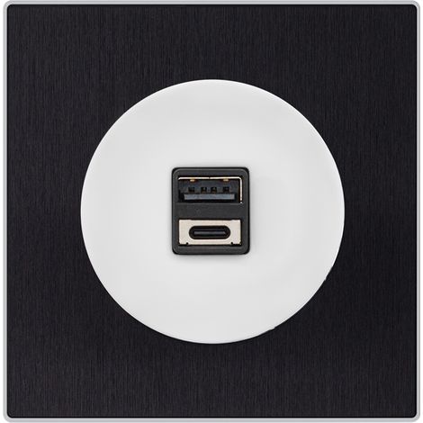 Double prise USB 2,6a a/c blanc glossy DOM + plaque simple métallisé anthracite (1/5)