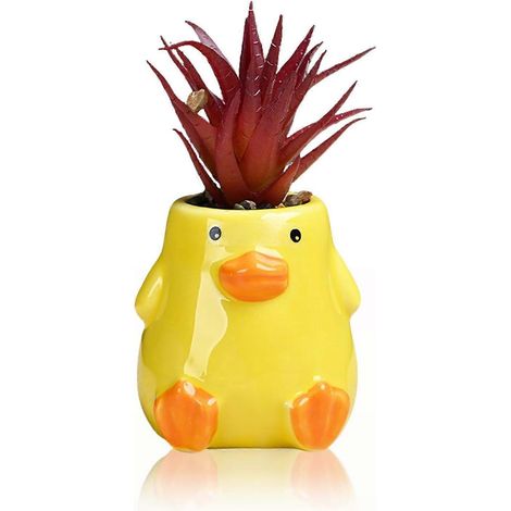 Pot de fleurs canard jaune en céramique idée cadeau pour plantes grasses d'intérieur bureau ou jardin (1/5)