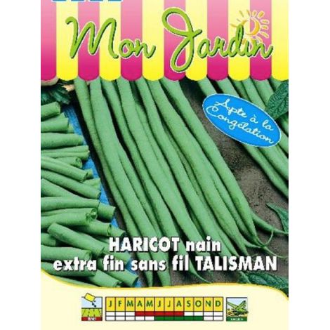 Haricot nain à filet 'Talisman' le sachet de 225 graines (90g)