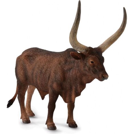 Toro Ankole-Watusi