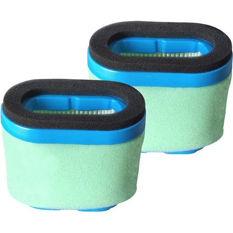 Adatto per filtro aria 498596 con prefiltro 273356S per motori B&S 690610, 697029, 4207 e 5059H (accessori per tosaerba).