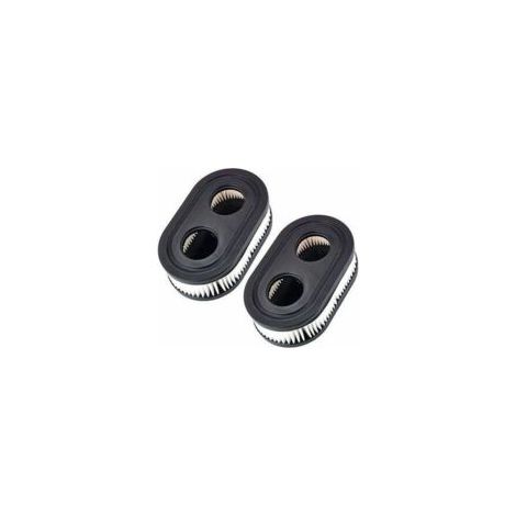 Filtri aria per tosaerba Briggs & Stratton 798452 593260 5432 5432K,A - Crezuo (1/4)