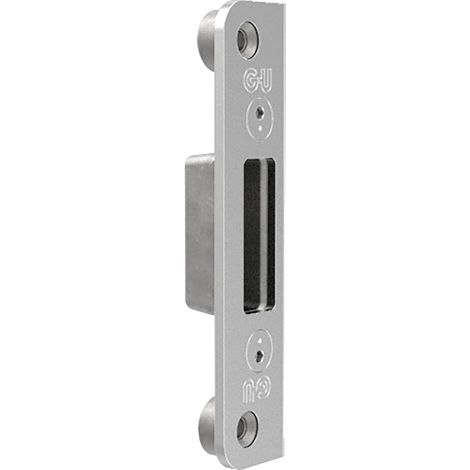 BKS Schließplatte verd. für Automatikriegel, Y=13 mm, Stahl dekorsilber (1/4)