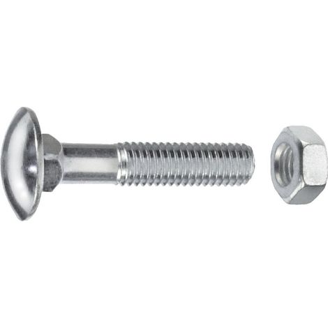 Schlossschrauben M6 x 60 mm, 40 Stück, Edelstahl A2 Schlossschrauben (1/2)