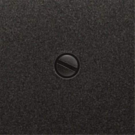Piastra cieca 55x55mm in carbonio metallizzato Siemens Delta MIRO 5TG1220